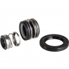 Oil Seals & Mechanical Seals